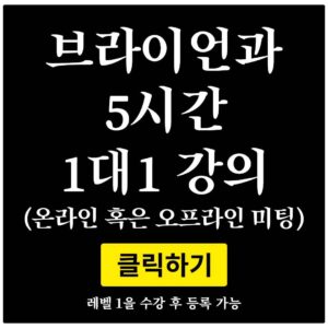1대1 강의 (5시간)