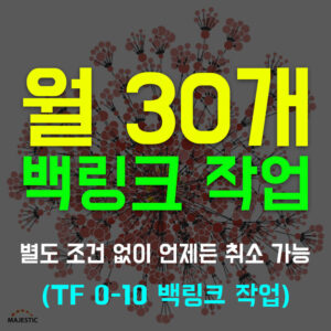 백링크 서비스 (월 30개)